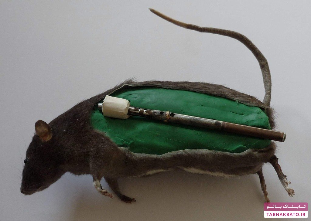 خلاقانه‌ترین اسلحه‌های تاریخ از موش‌های انفجاری تا چترهای سمی