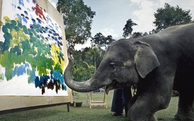 فیل‌هایی که نقاشی می‌کشند +عکس