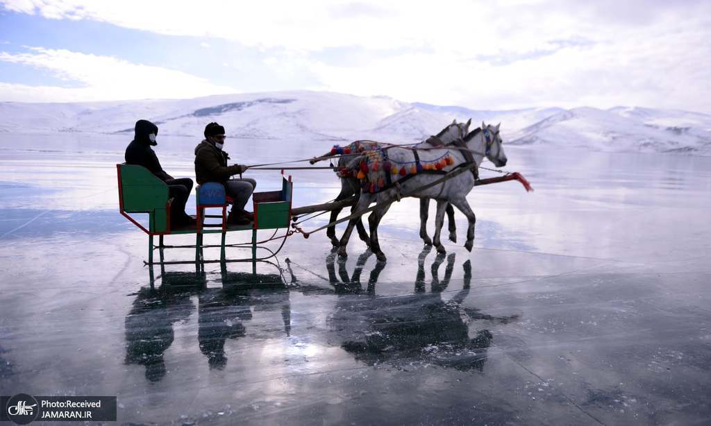 سورتمه سواری با اسب روی یخ + عکس