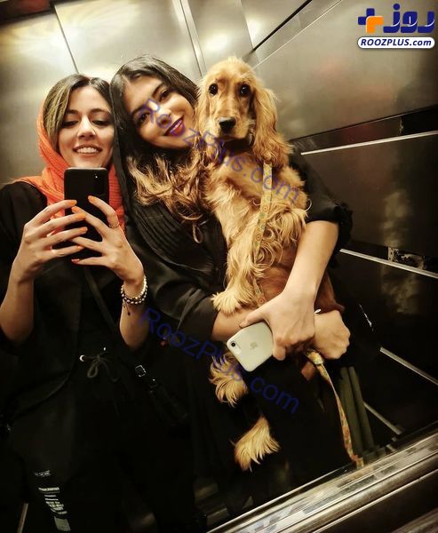 ماهور الوند و سگش در آسانسور+عکس