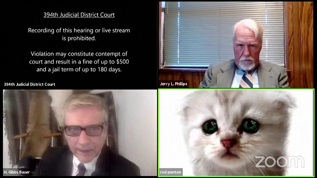 چگونه یک وکیل آمریکایی با فیلتر گربه در اینترنت معروف شد