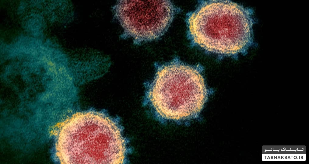 معجزه واکسن فایرز و مدرنا روی سرطان و ایدز