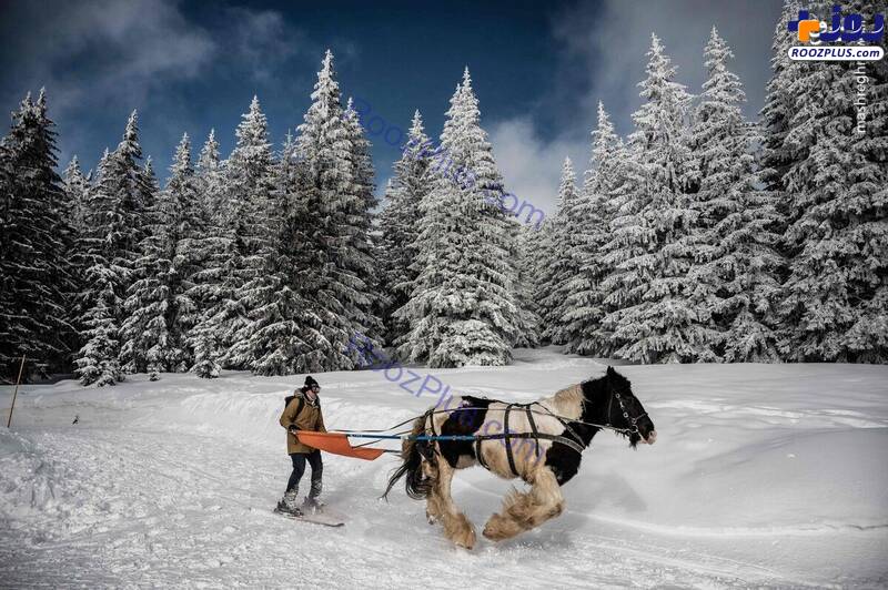 عکسی جالب از اسکی با اسب در ارتفاعات