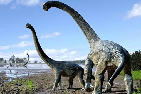 کشف بقایای بزرگترین دایناسور روی زمین