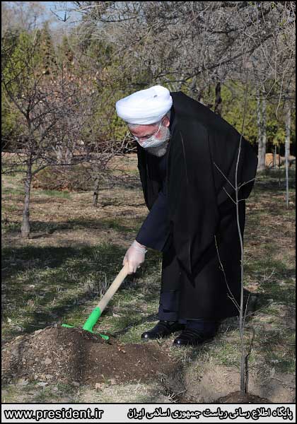 روحانی یک نهال سیب غرس کرد