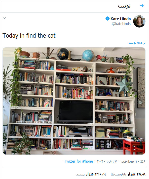 گربه این خانم نویسنده را در این عکس پیدا کنید! – همه‌گیرشناسی‌ غیرمترقبه در شبکه‌های اجتماعی