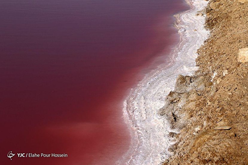 دریاچه نمک قم برای اولین بار سرخ شد +عکس
