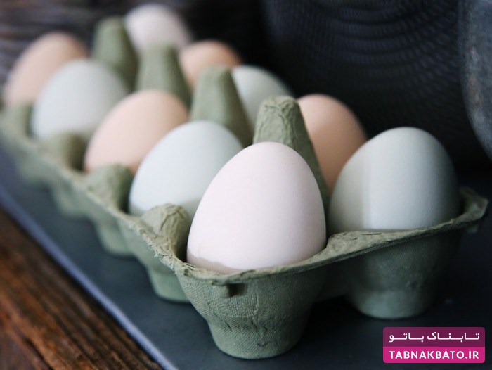 چرا فروش تخم مرغ‌های تولید آمریکا در اروپا ممنوع است و برعکس؟!