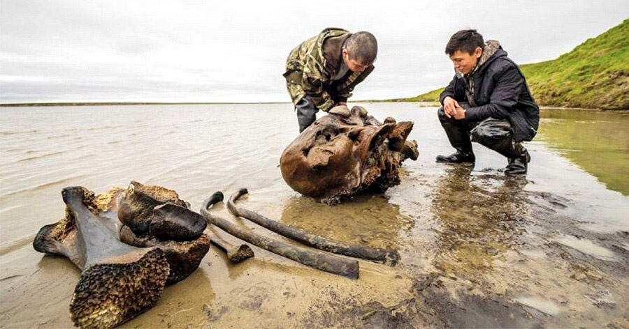کشف موجودی پشمالو و عجیب در دریاچه سیبری