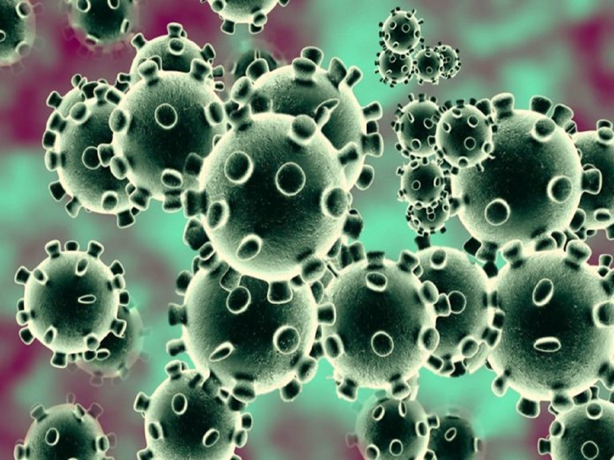 ریخت‌شناسی ویروس کرونای جدید