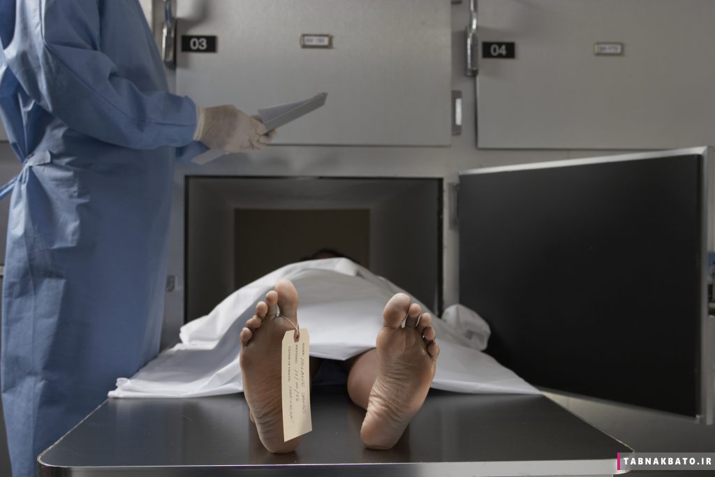 کشف جالب دانشمندان درباره تغییر جسد انسان بعد از مرگ