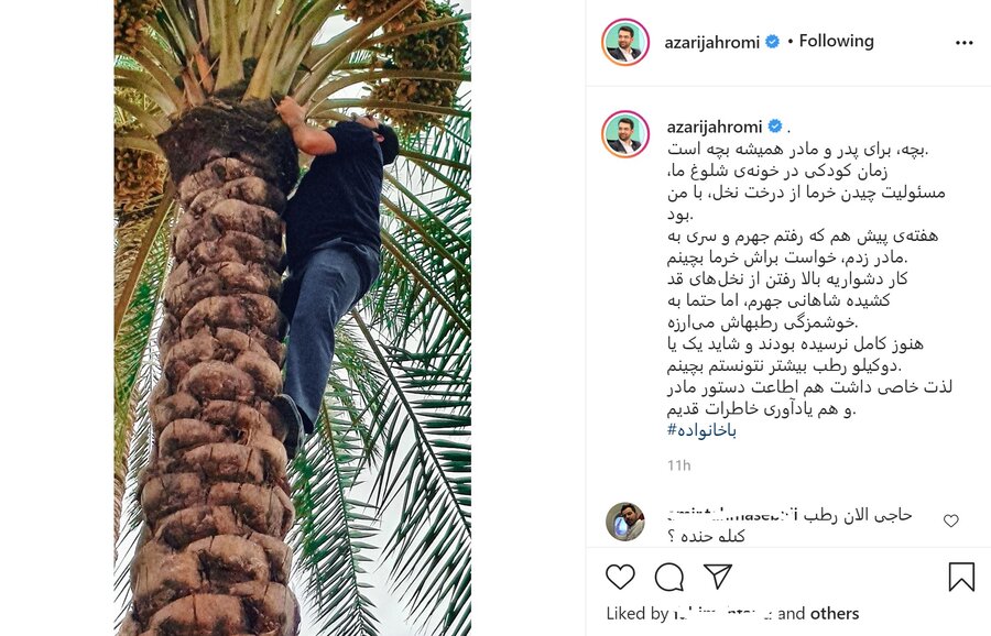 وزیر جوان روحانی بالای درخت نخل +عکس