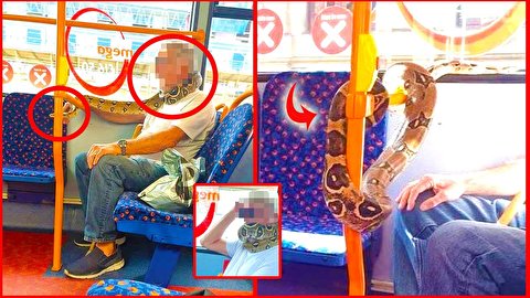 اقدام عجیب مسافر اتوبوس برای پوشاندن صورتش