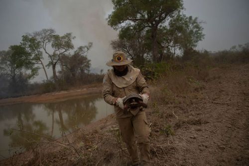 از آتش‌سوزی جنگل آمازون تا برج‌های سرسبز چینی