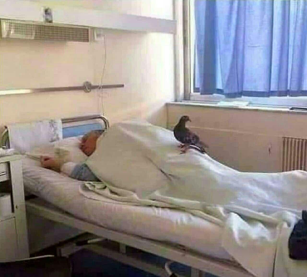 عکسی که یک پرستار از ملاقاتی عجیب یک بیمار منتشر کرد