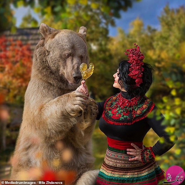 نمایش شگفتی‌های روسیه با کمک یک خرس مدل
