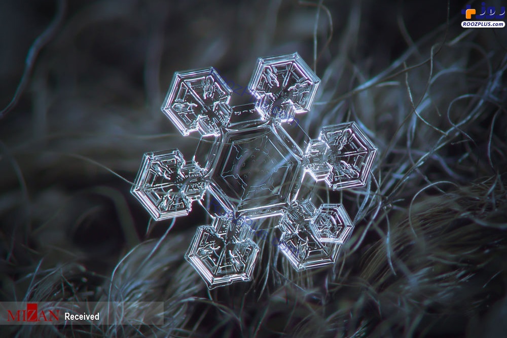 دانه‌های برف زیر میکروسکوپ +عکس