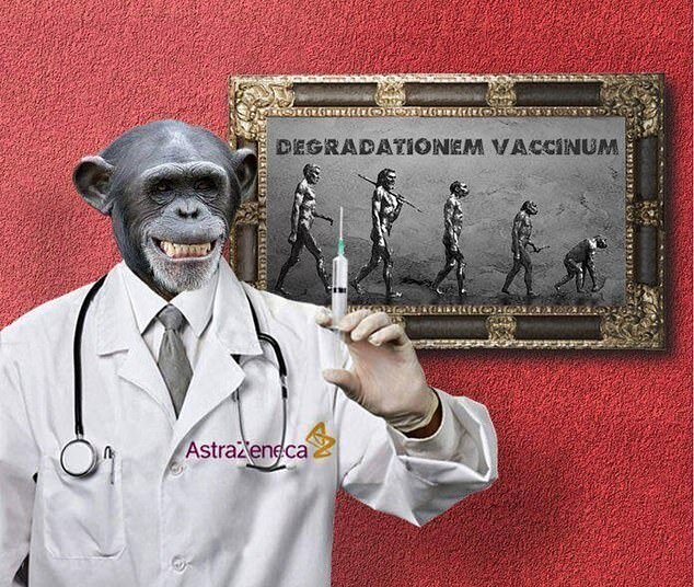 واکسن آکسفورد شما را به میمون تبدیل می‌کند + عکس