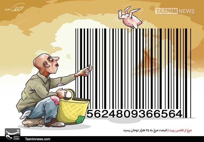 کاریکاتور/ مرغ از قفس پرید
