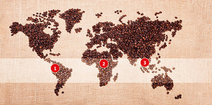 تا می‌توانید قهوه بنوشید؛ شاید در سال ۲۰۵۰ دیگر هیچ قهوه‌ای وجود نداشته باشد
