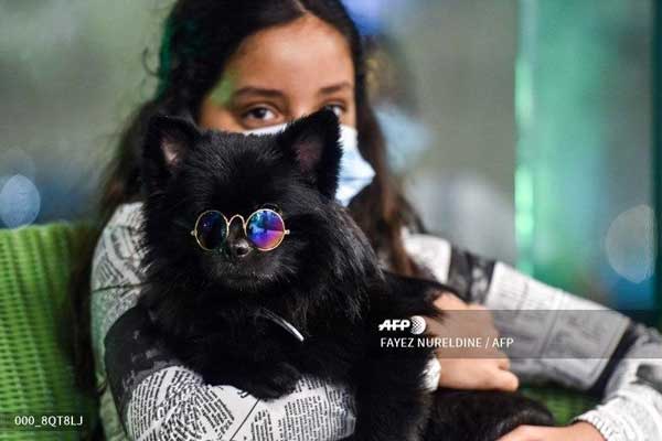 تصاویرِ افتتاح نخستین کافه سگ در عربستان
