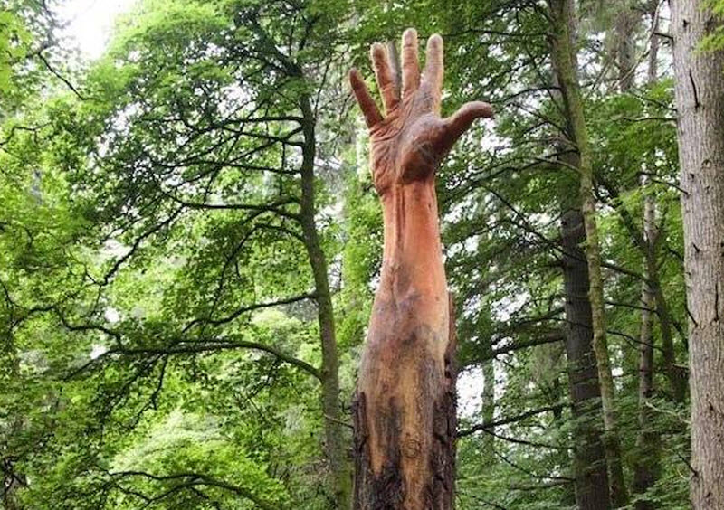 هنرمندی که از یک درخت شکسته، دستی رو به آسمان ساخت!