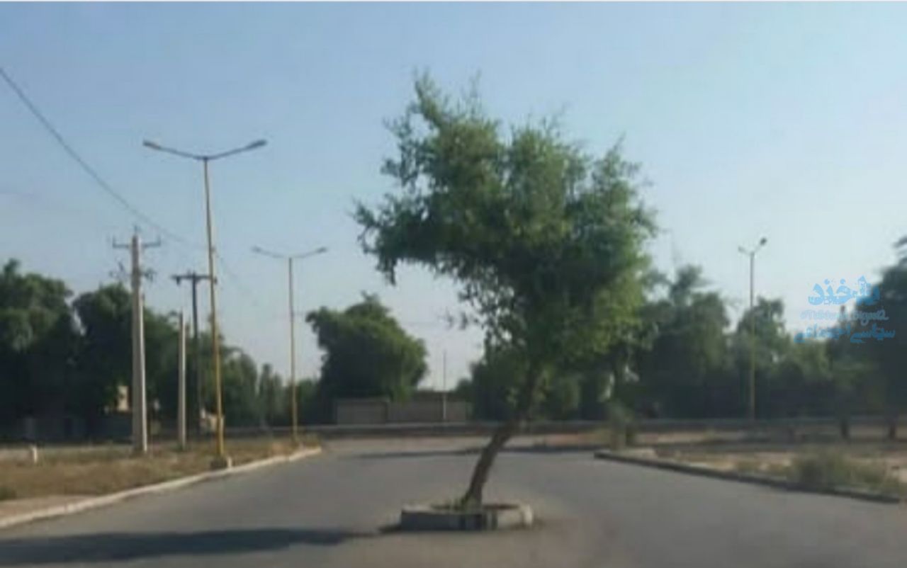 قطع نکردن یک درخت در خیابان تازه احداث شده + عکس