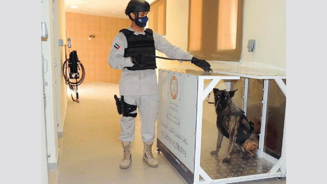 بکارگیریِ سگ‌های کرونایاب در فرودگاه ابوظبی +عکس