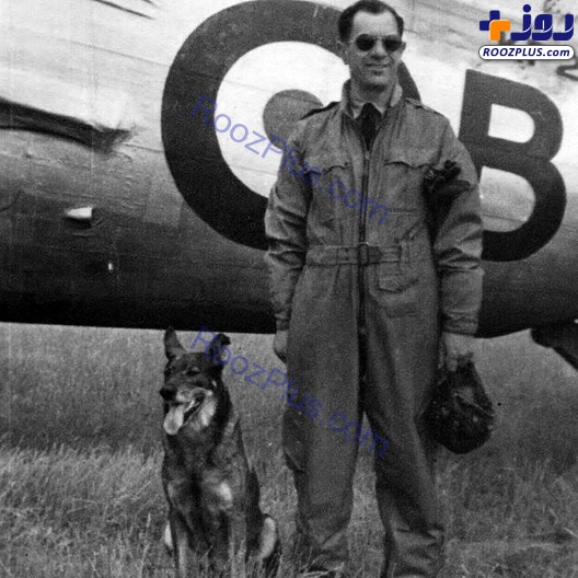 سگ عجیب استرالیایی در جنگ جهانی دوم+عکس