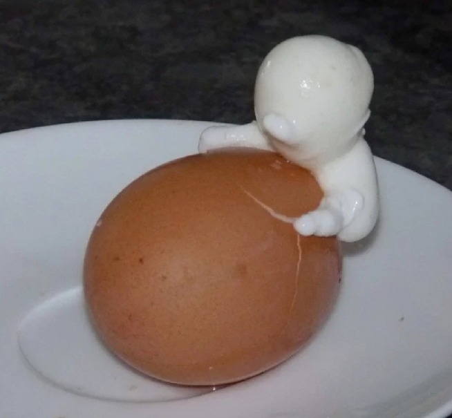 خروج آدمک از تخم مرغ، زوج مسن را شگفت زده کرد +عکس