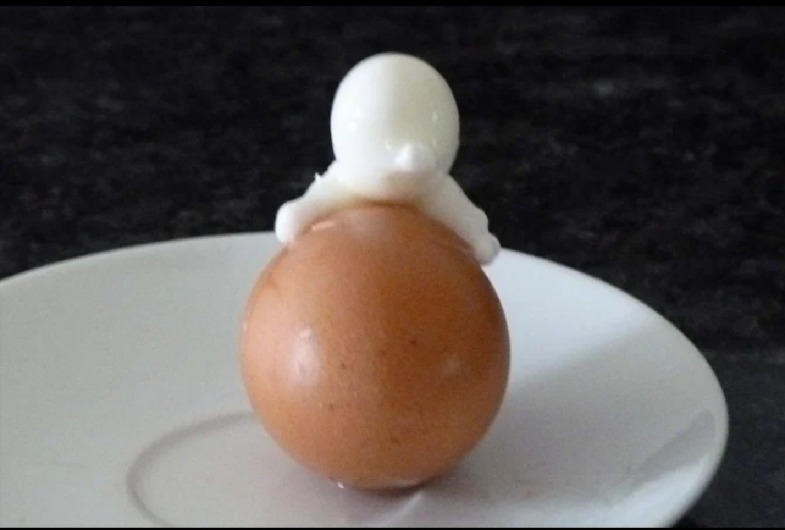 خروج آدمک از تخم مرغ، زوج مسن را شگفت زده کرد +عکس