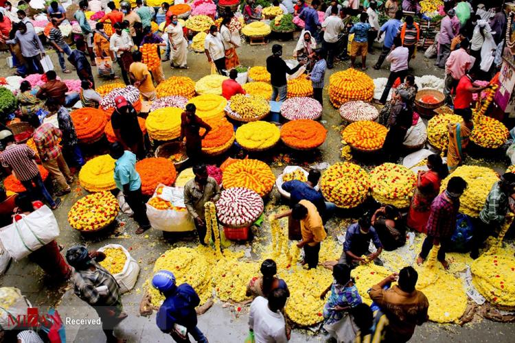 جشنواره دسارا در هند