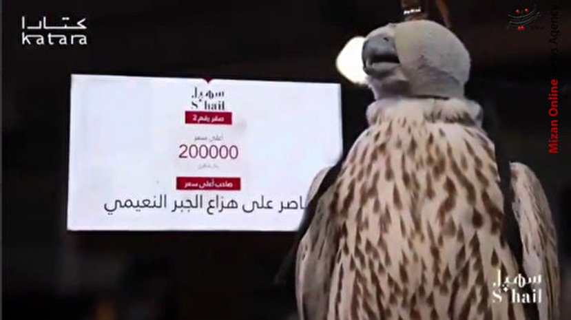 فروش بالابان یک و نیم میلیارد تومانی در مزایده قطر+ عکس