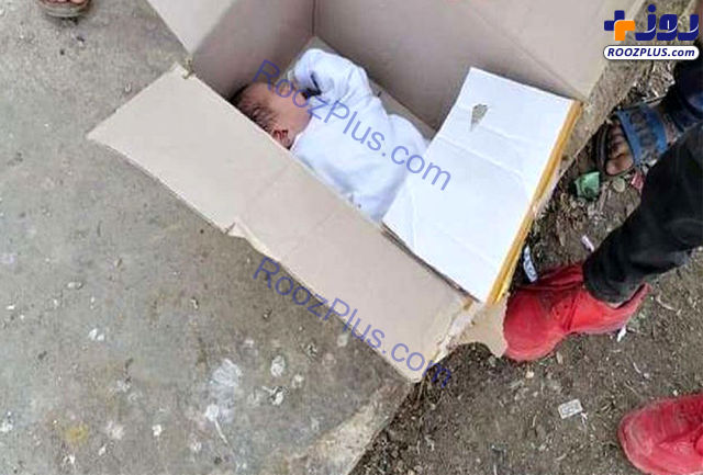 پیدا شدن یک نوزاد در سطل زباله+ عکس