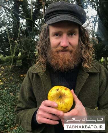 سیب کریستیانو رونالدو، کشف اتفاقی گونه جدیدی از سیب