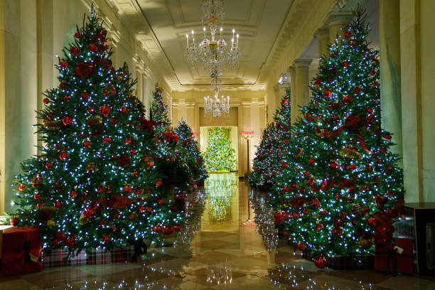 آمادگی کاخ سفید برای جشن کریسمس + عکس
