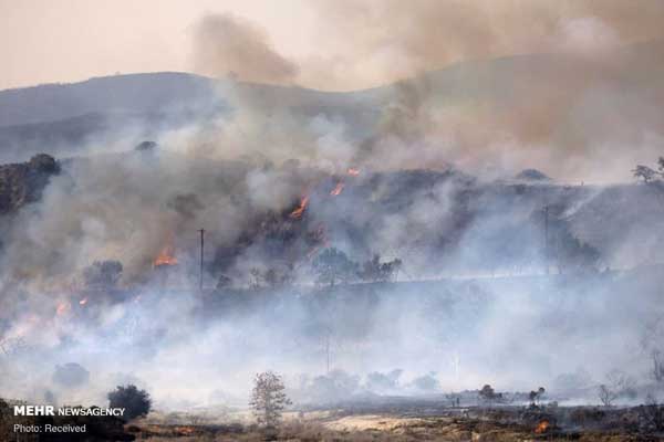 کالیفرنیا دوباره در آتش سوخت