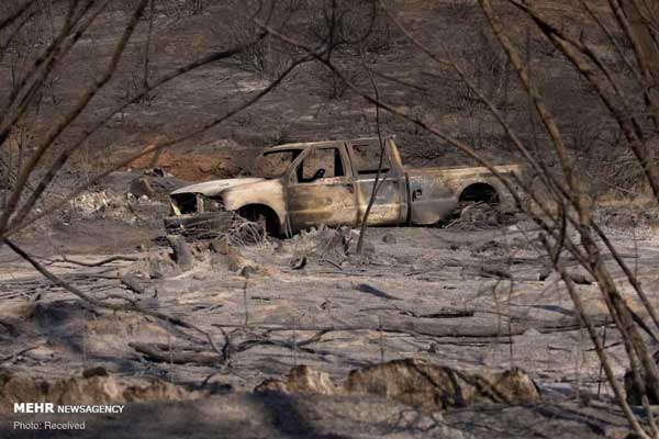 کالیفرنیا دوباره در آتش سوخت