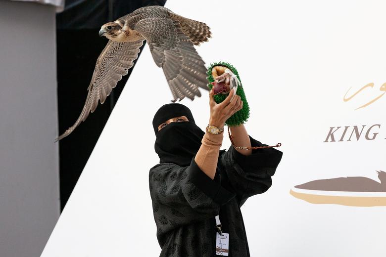 پرنده شکاری بر روی دستان زن عربستانی +‌ عکس