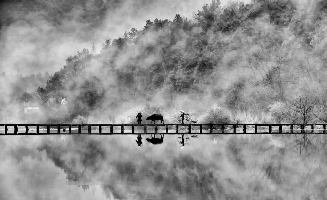 پلی به رویا + عکس