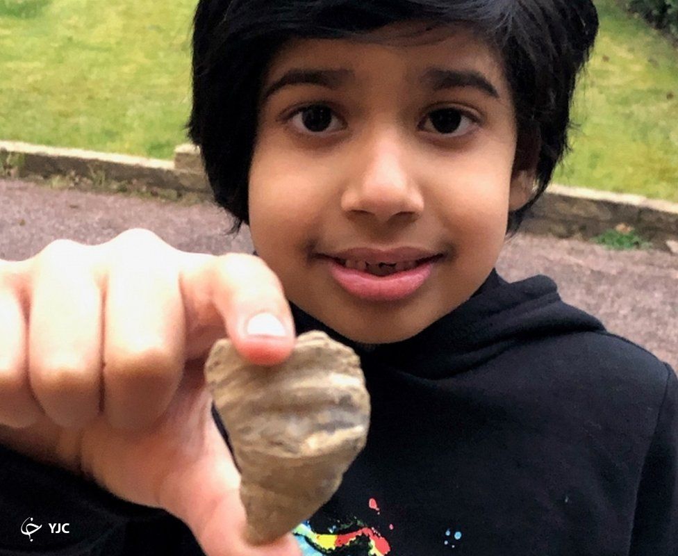 پیداشدن فسیل چند میلیون ساله توسط پسر شش ساله+عکس