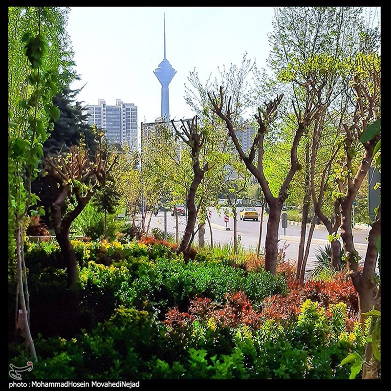 جلوه بهار در تهران + عکس