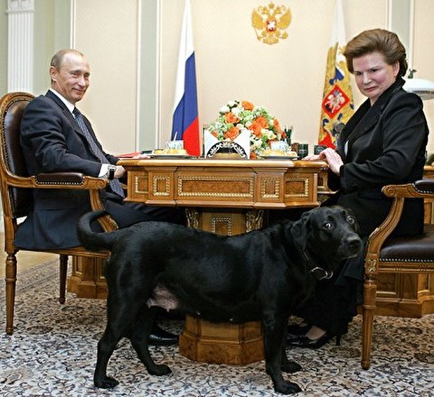سگ استثنایی و بهترین بادیگارد رئیس جمهور روسیه