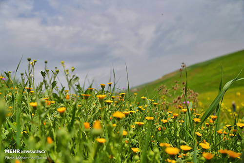 بهشت «اردبیل» در قاب بهار