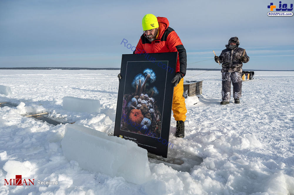 اولین گالری نقاشی زیر یخی جهان+عکس