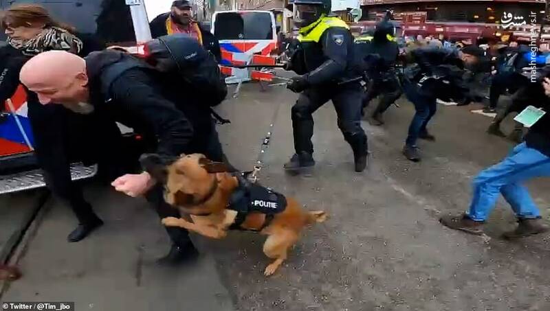 پلیس هلند با سگ به جان معترضان افتاد