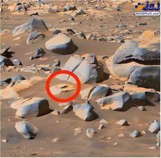 کشف موجود فرازمینی صورتی در مریخ