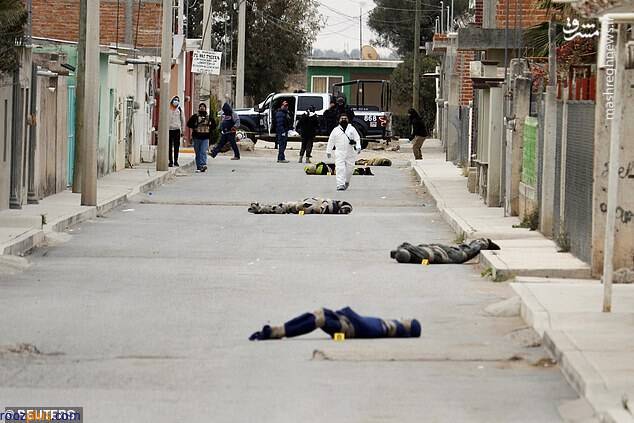 کشف ده جسد بسته بندی شده در خیابان‌های مکزیک
