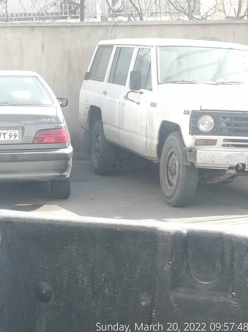 مشاهده یک قلاده گرگ در خیابان‌های تهران