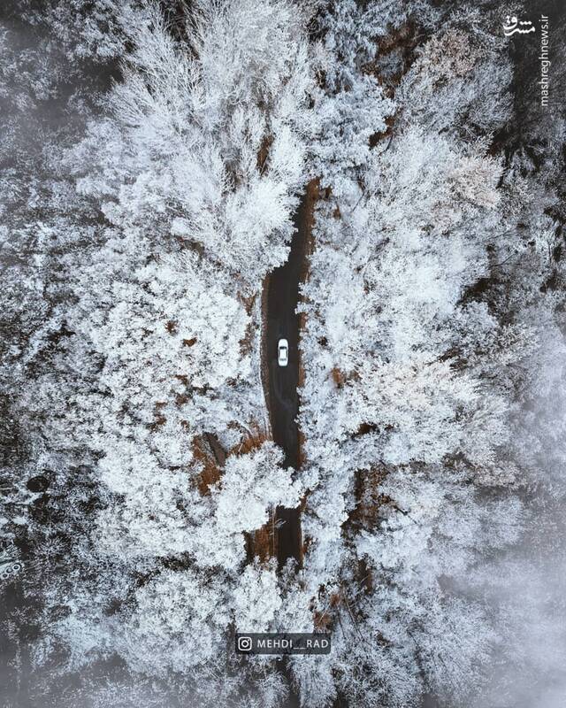 جاده‌ای در دل جنگل برفی